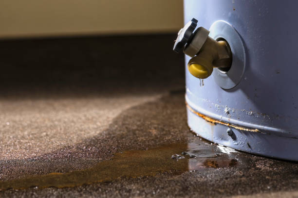 Best Commercial water damage restoration  in Monmouth Junction, NJ