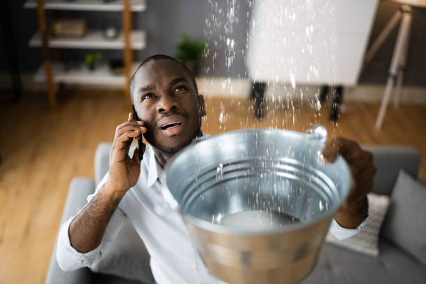 Best Water damage cleanup near me  in Monmouth Junction, NJ