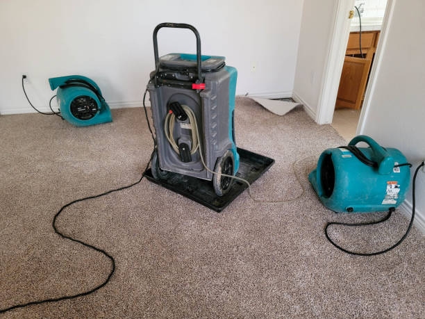 Best Flood damage cleanup  in Monmouth Junction, NJ