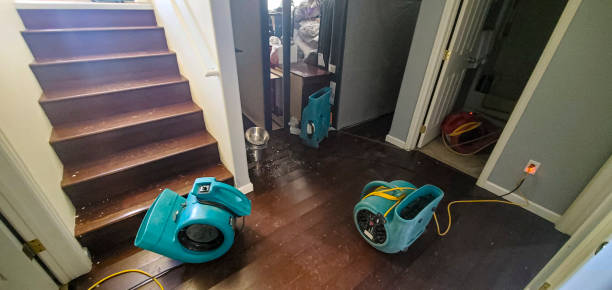 Best Residential water damage restoration  in Monmouth Junction, NJ