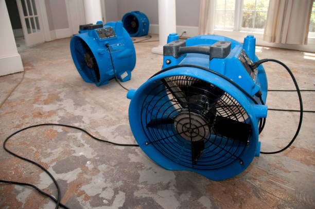  Monmouth Junction, NJ Water damage restoration Pros