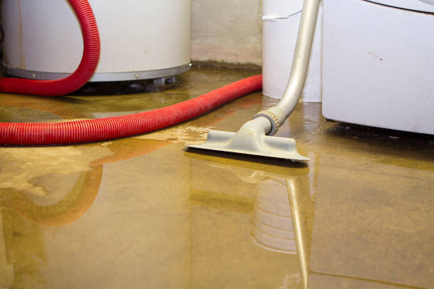 Best Local water damage restoration  in Monmouth Junction, NJ
