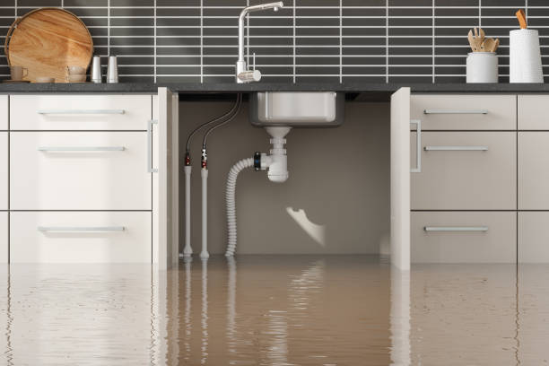 Best 24-hour water damage restoration  in Monmouth Junction, NJ