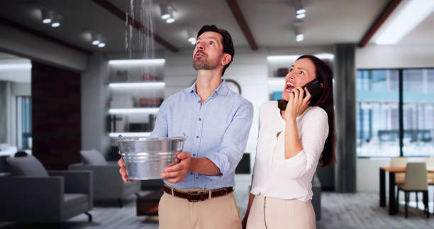 Best Mold removal after water damage  in Monmouth Junction, NJ